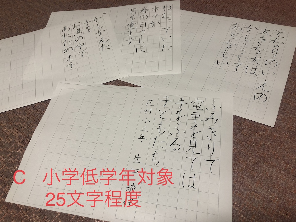 硬筆ペン習字のお手本を作成します 書きたい文字や文章を、楷書で、ご自宅で練習ができます！ イメージ3