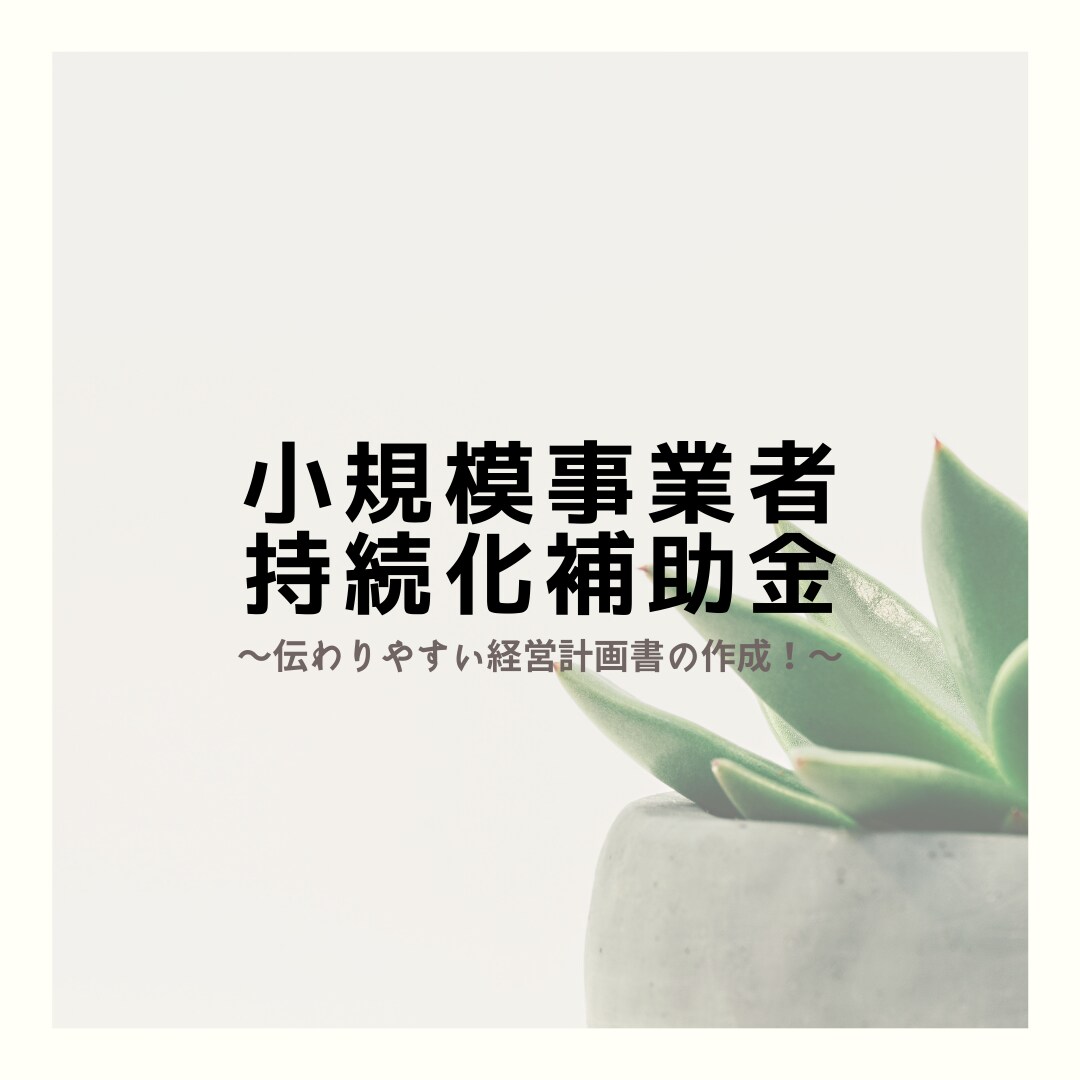 中小企業診断士が持続化補助金の計画書を作成します 企業の発展を支援する補助金！経営計画書を作ります！ イメージ1
