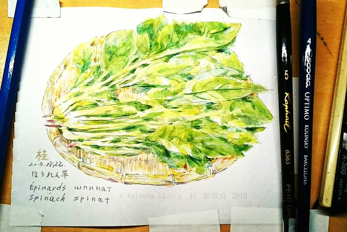 水彩イラストで静物画を描きます 水彩イラスト　モノクロでも受け付けます。 イメージ2