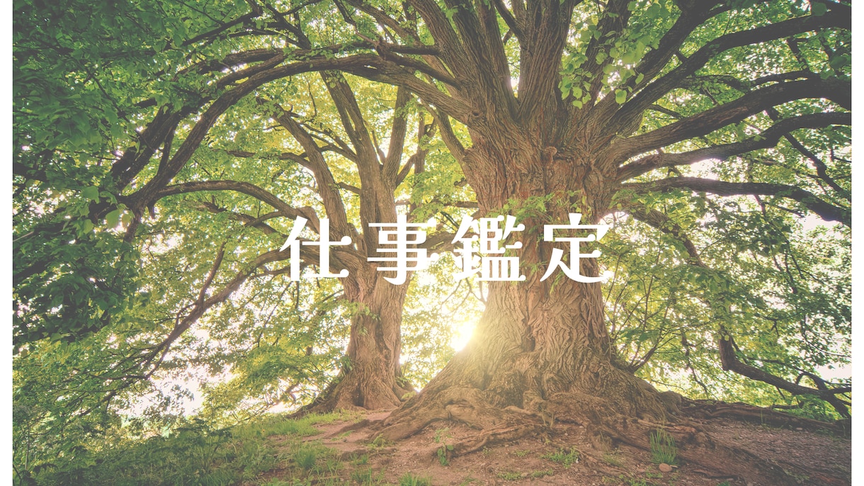 美しいPDF鑑定書♡数秘術で鑑定します 適職☆お仕事鑑定、うまくいく方法を24時間以内にお伝えします イメージ1