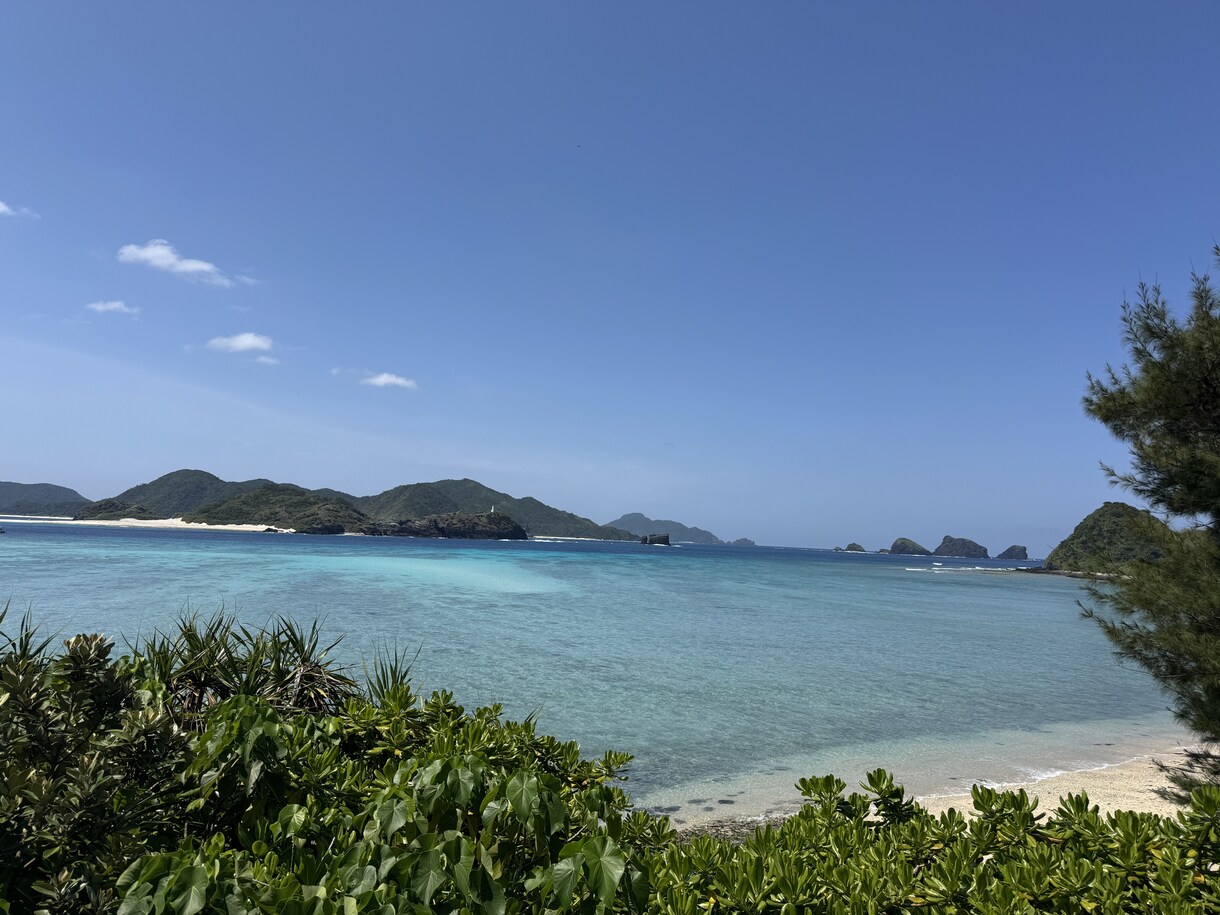1人旅またはカップルプラン企画します 物価高対抗！予算抑えめの旅行プラン企画します！ イメージ1