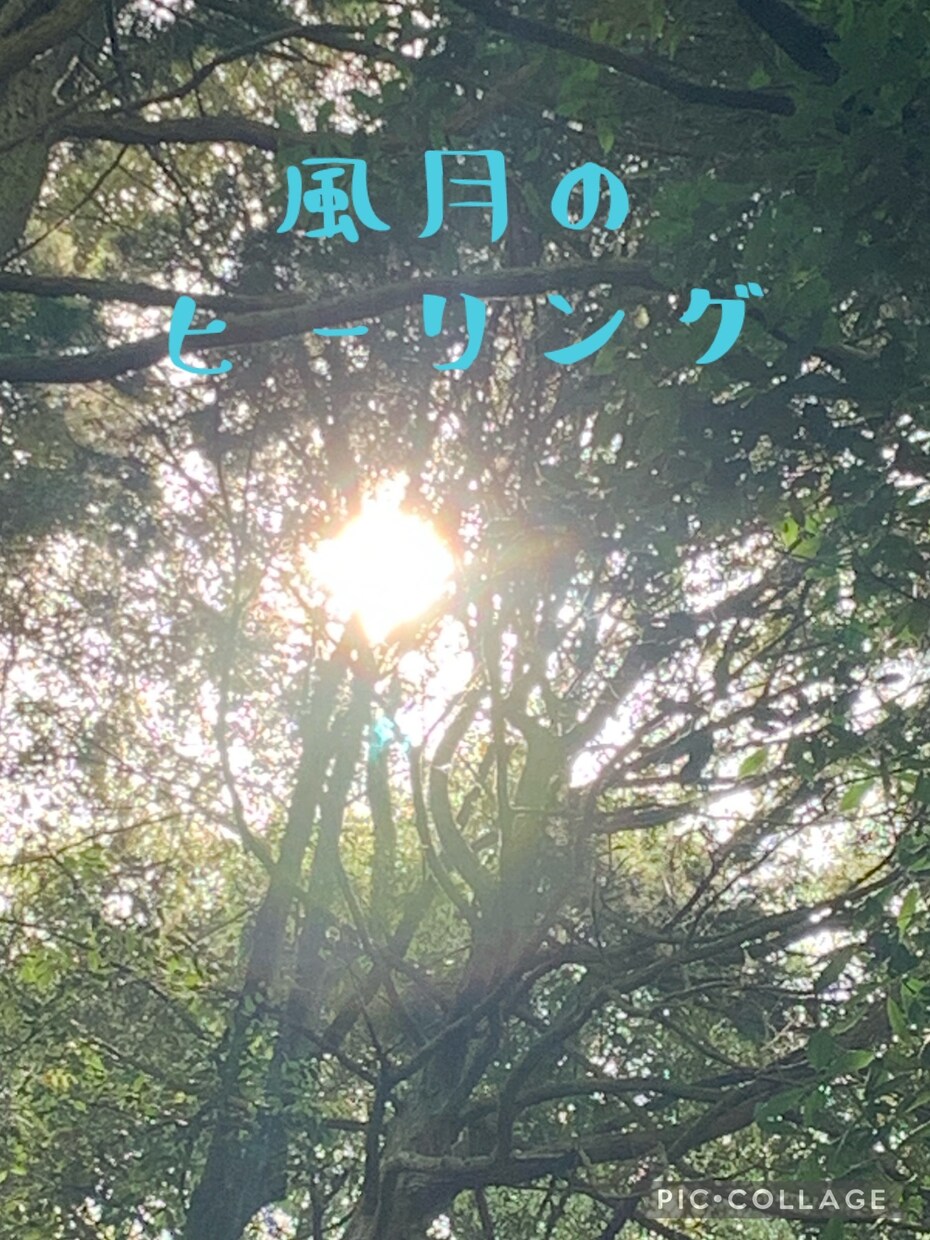 お悩みに合わせてヒーリング致します 心身を浄化してヒーリングし、今後のアドバイスを致します イメージ1