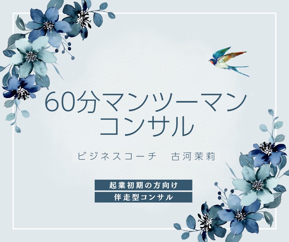 起業を目指す方へマンツーマンでコンサルします 起業初期の方向け！60分のマンツーマンコンサル イメージ1
