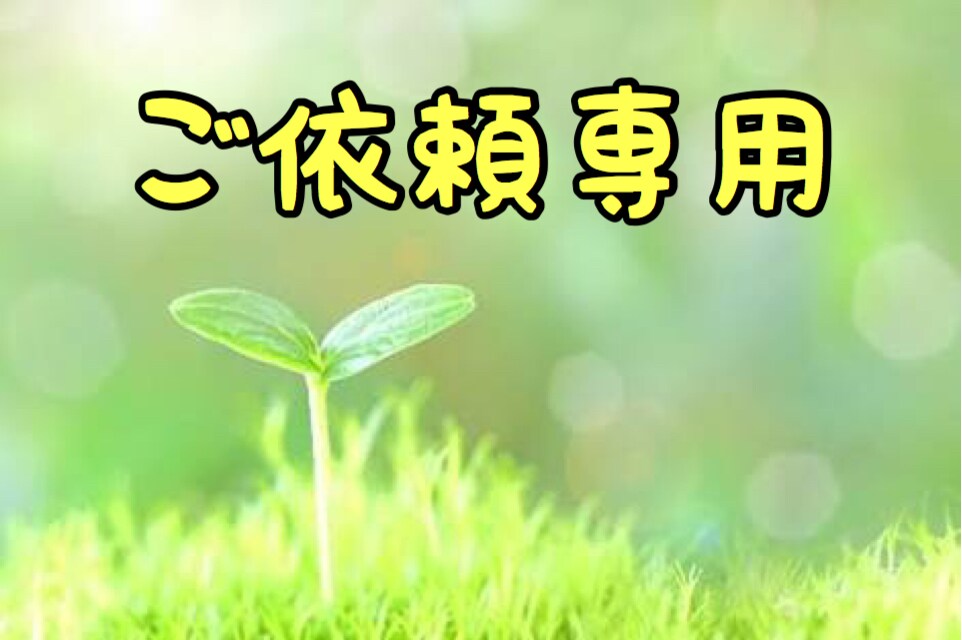 ご依頼用漫画作成いたします こちらはご依頼用です。ご理解のほど宜しくお願いします。 イメージ1