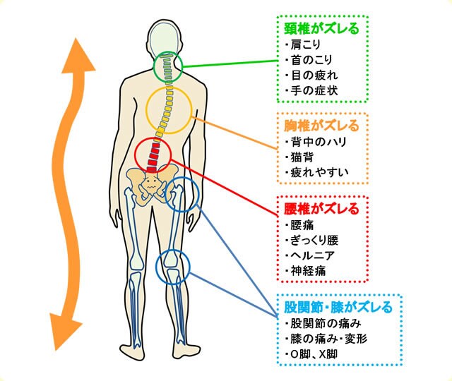 腰痛、肩こりなど症状改善の自己調整法を教えます 米国カイロ大学留学の知識と経験を元にアドバイス イメージ3
