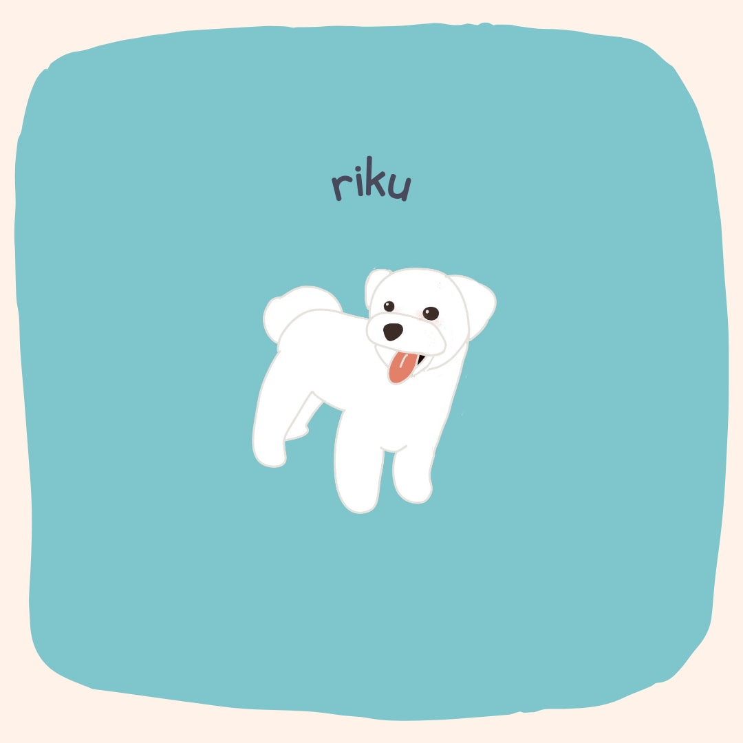愛犬ちゃんのイラストを制作します 愛犬ちゃんのお写真からイラストを制作します イメージ4