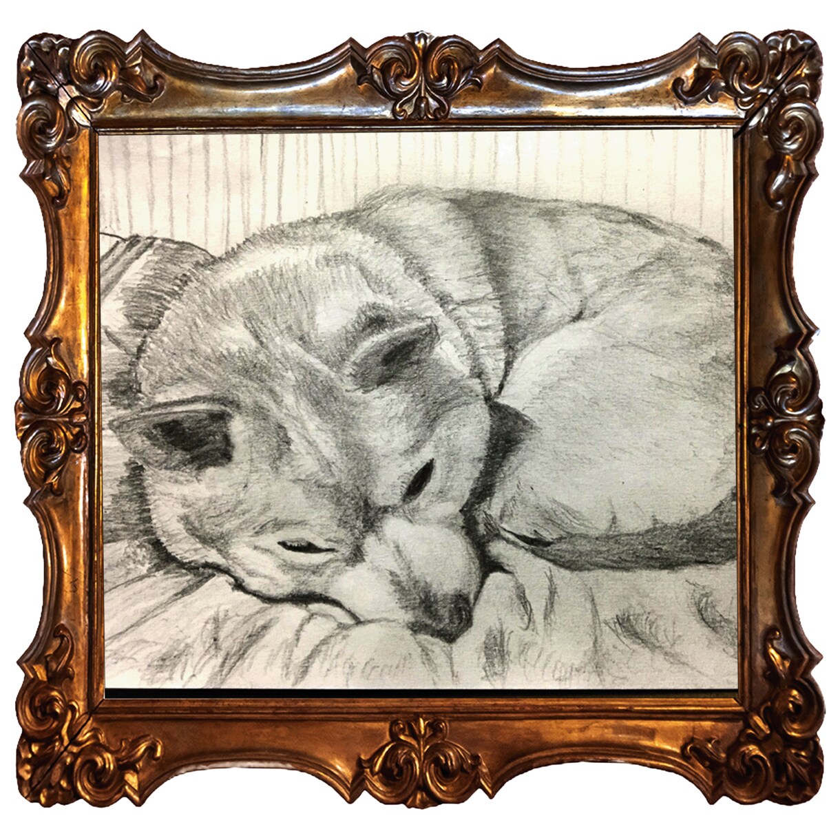 鉛筆でお犬さんを描きます お犬さんの思い出の写真を鉛筆画にいたします。 イメージ6