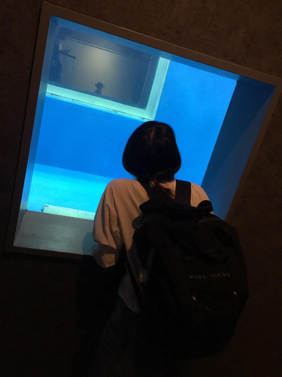 成功させたい！そんな恋愛相談にのります 【恋愛の成功法は○○にある】好きな人の気持ちをあなたに。 イメージ1
