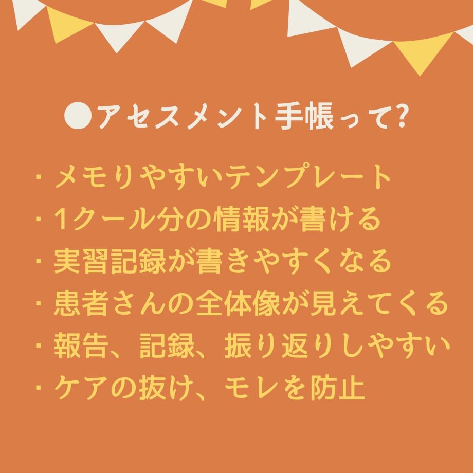 看護実習記録集★アセスメントのテンプレ教えます 超絶安心！看護実習【まるごと】パック★実習記録事例、報告、等 イメージ10