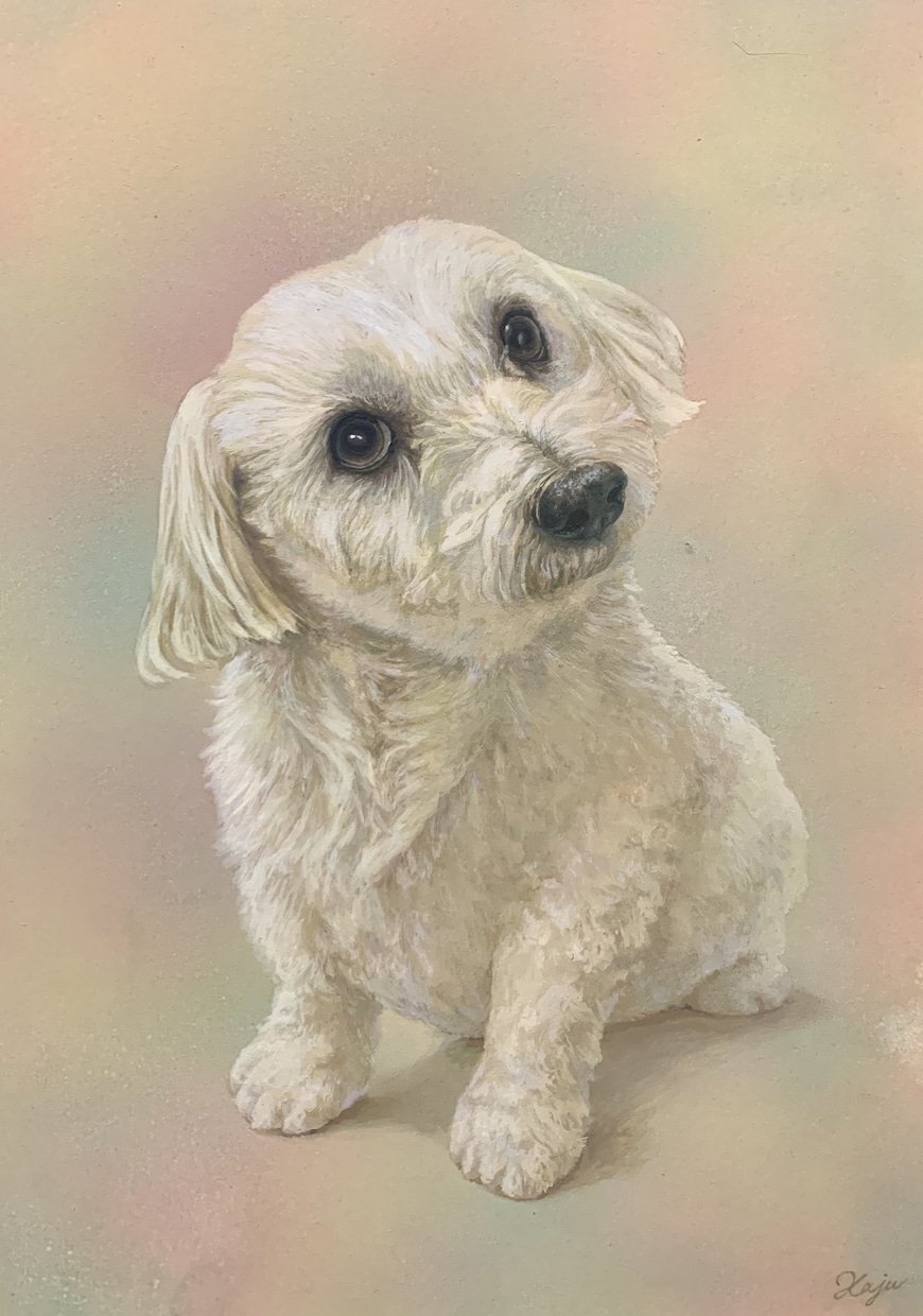 愛犬、愛猫、愛鳥の絵描きます あなたと大切なペットとの思い出、絵に残してみませんか？ イメージ2