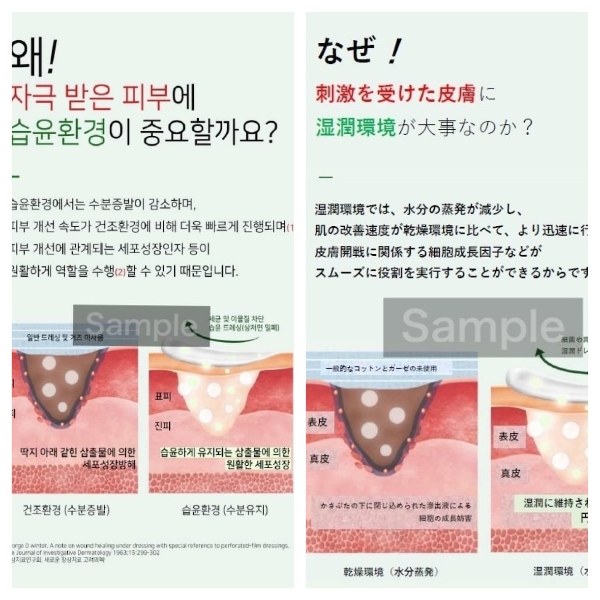 日本在住韓国人あなたに韓国語をお貸しします 日常会話からビジネス翻訳まで承ります。化粧品関係の経験有。 イメージ2