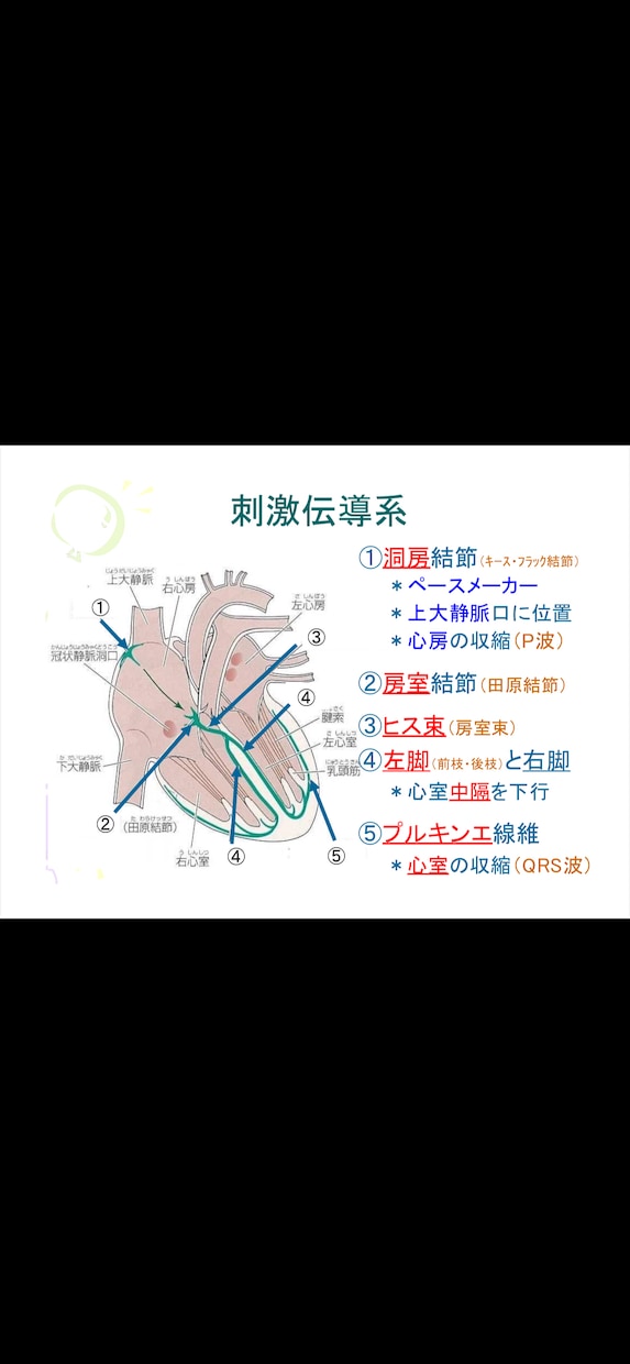 心電図の基礎を伝授します 心電図の基礎的な知識をまとめた資料を配布します！ イメージ2