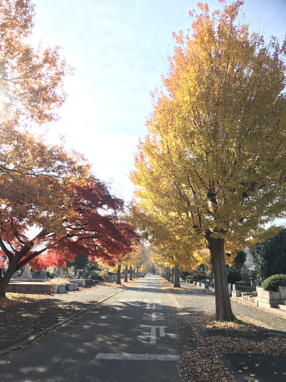 多磨霊園　お墓参り代行・清掃・草むしりします ～故人様のお墓を真心込めて、お墓参りお掃除をいたします～ イメージ2