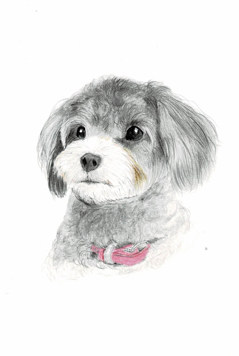 かわいい家族を永遠に。ペット肖像画描きます 愛するペットを肖像画として残しませんか？ イメージ1