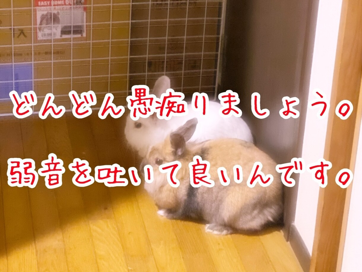 誰にも話せない事、愚痴や悩み、雑談、何でも聞きます 好き放題思い切り喋って、気分スッキリ、ストレス解消！ イメージ3