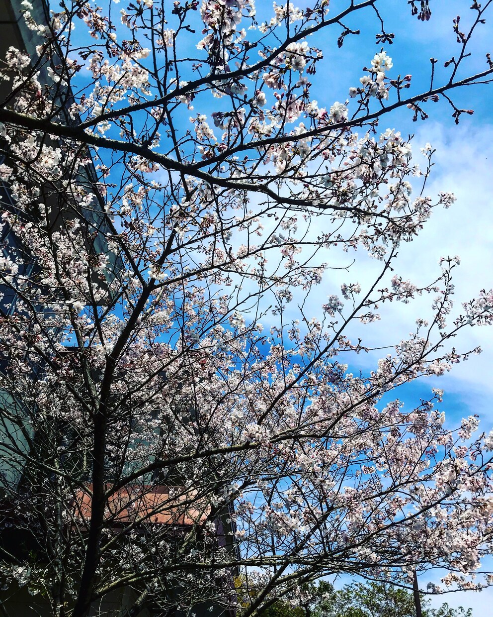 お好みの写真を提供します 高画質で美しい風景の写真をあなたに。 イメージ3