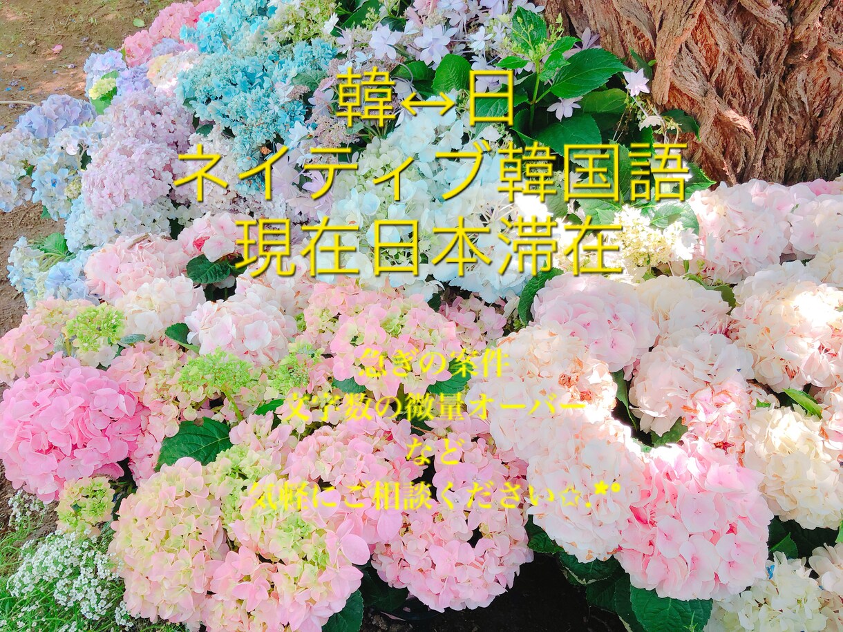 日↔韓 翻訳承ります 1000文字以内のもの✩.*˚ イメージ1