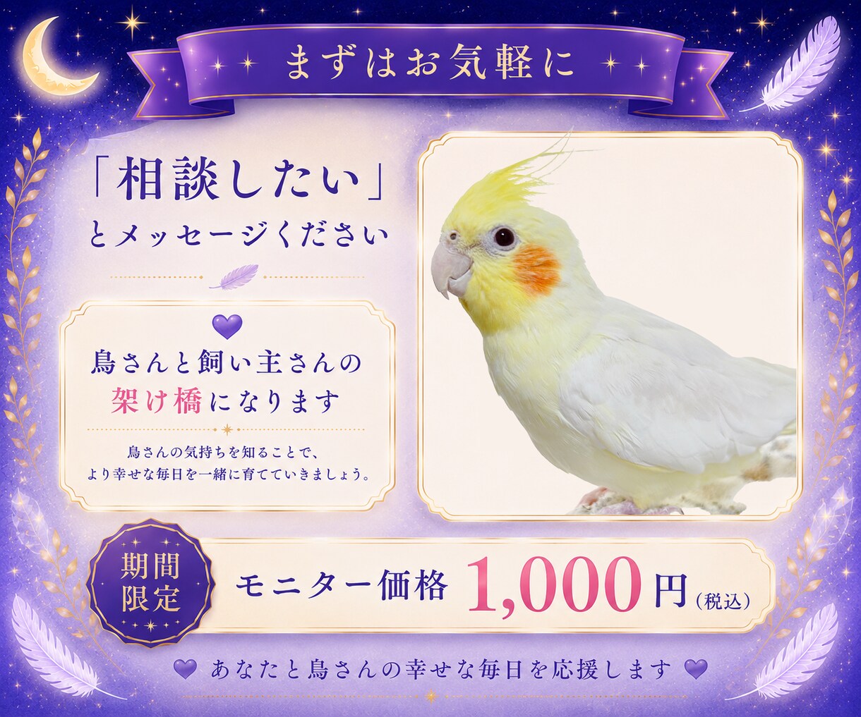 鳥さんの気持ちを丁寧にお伝えします 言葉にならない想いを静かに届けます。 イメージ5
