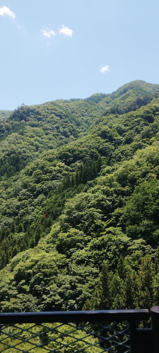 現役プロスポーツ選手がどんなお話も聞かせて頂きます 辛くて苦しんでいるあなたに寄り添います。 イメージ5