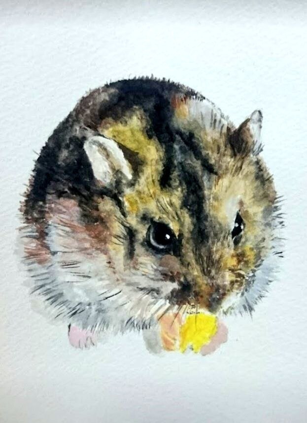 データ配送⚠多種多様なペットの似顔絵お描き致します インテリアやプレゼント、記念日などに温かい絵を届けます イメージ5
