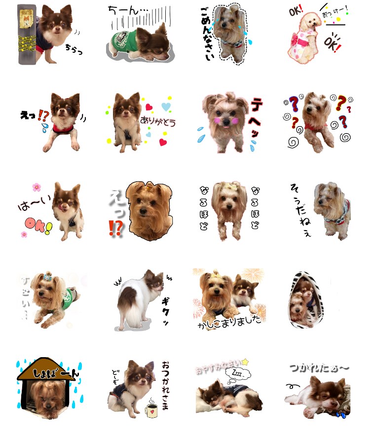 写真スタンプ画像3枚制作します オリジナルラインスタンプ3枚制作！！ イメージ3