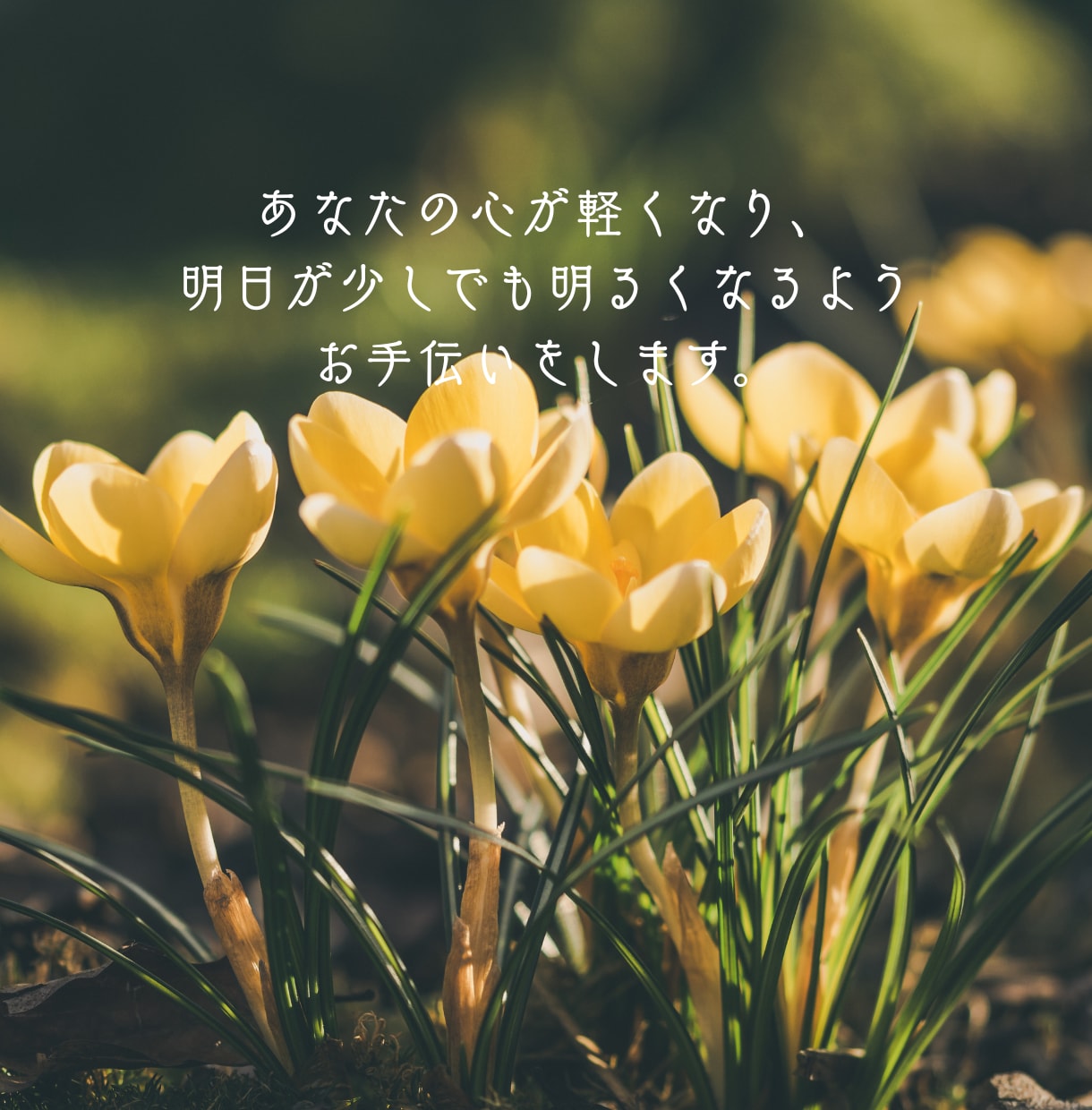 今日を一緒に乗り切る、人生相談チャットします パニック障害・精神疾患の辛さを知っている、同じ景色の相談相手 イメージ5