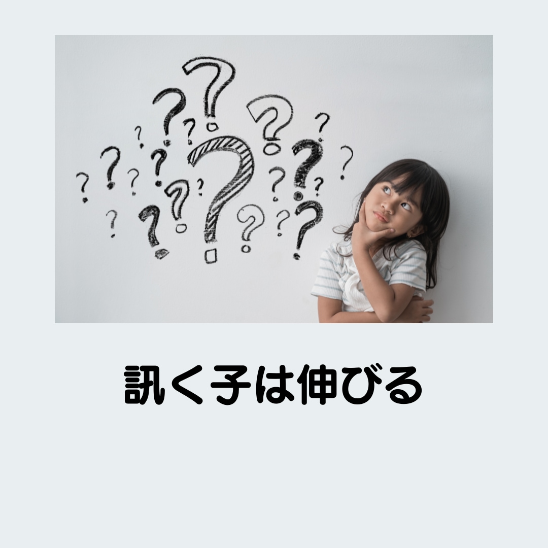 なんでも質問し放題　✅回数無制限でお答えします 低学年～大学受験まで、幅広く対応します。 イメージ3