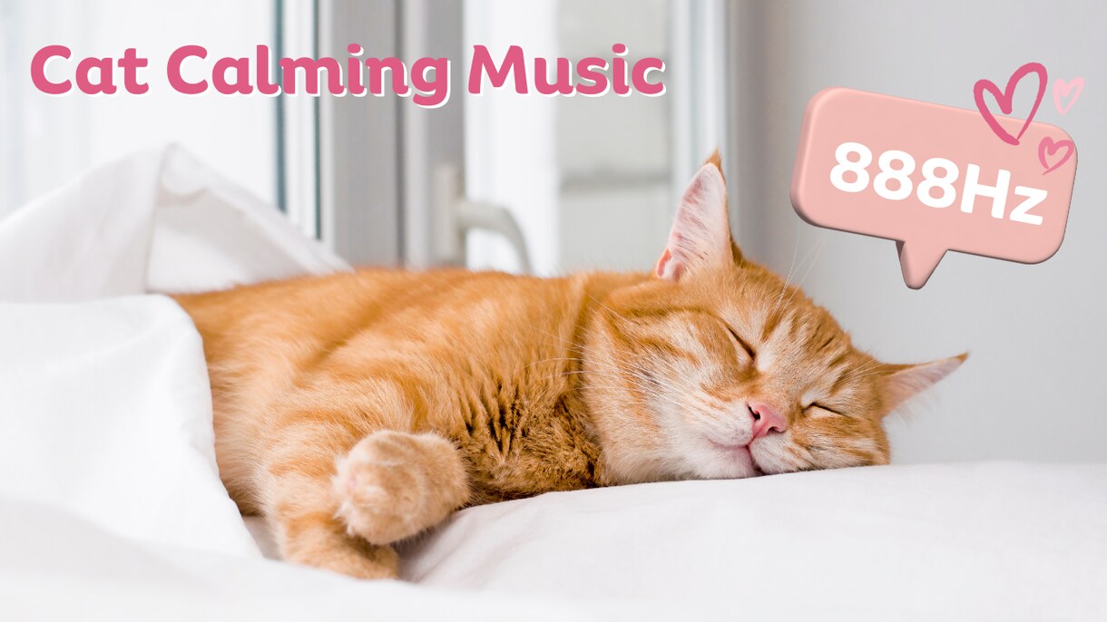 YouTubeの猫サムネイルを格安で作成ます 格安・クリック率UP・素早い！猫専門サムネイルデザイン イメージ8
