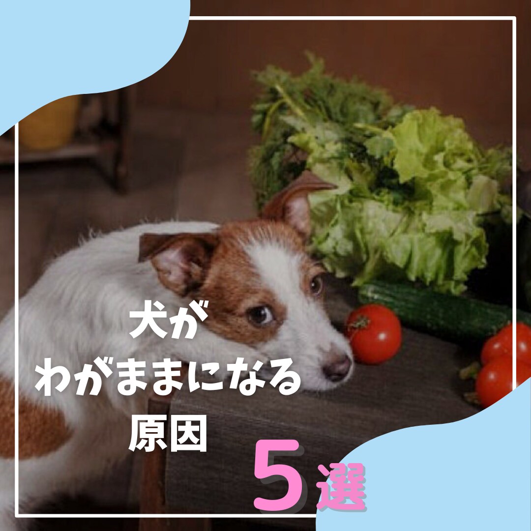 イメージに合わせた画像を作成いたします！ます 忙しい方必見！Instagram投稿画像作成いたします！ イメージ5