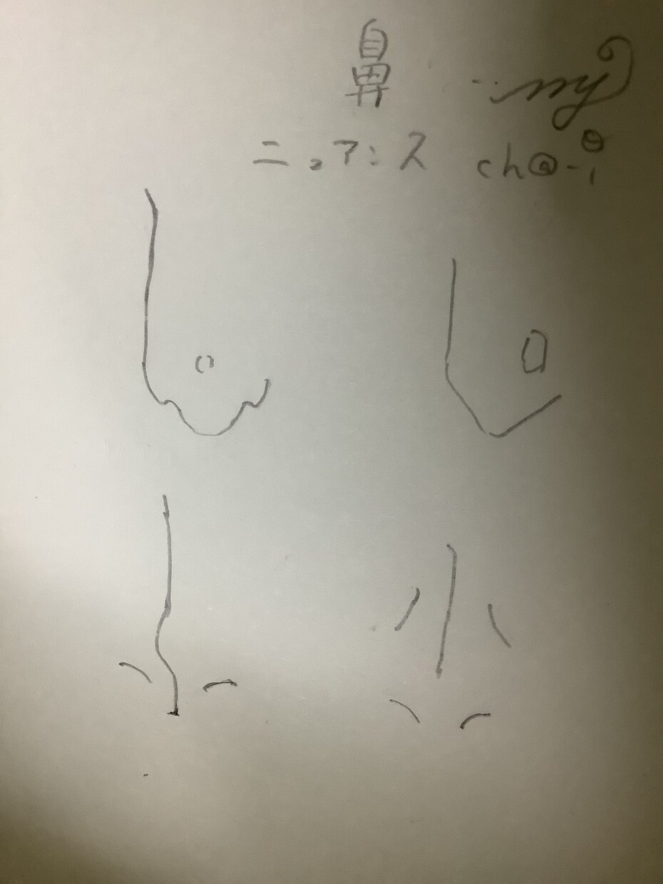 キャラクターの鼻パーツのパイルにリメイクします これからの時代マンガ・アニメ・イラストのキャラクターの鼻は？ イメージ1