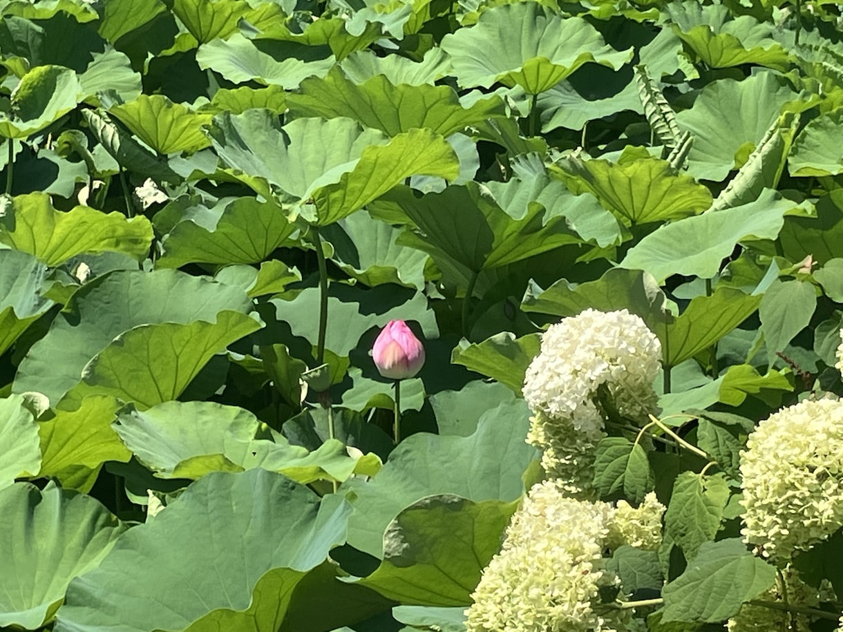 短いお時間OK^^いろいろなお話聴き♪ます お話し相手が欲しい、お悩みなどあるときのお話相手になります✨ イメージ9