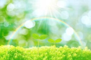 素質論で子どもの個性をのばす子育てのヒント教えます やる気を引き出すコトバやNGワード子育てポイントなど教えます イメージ1