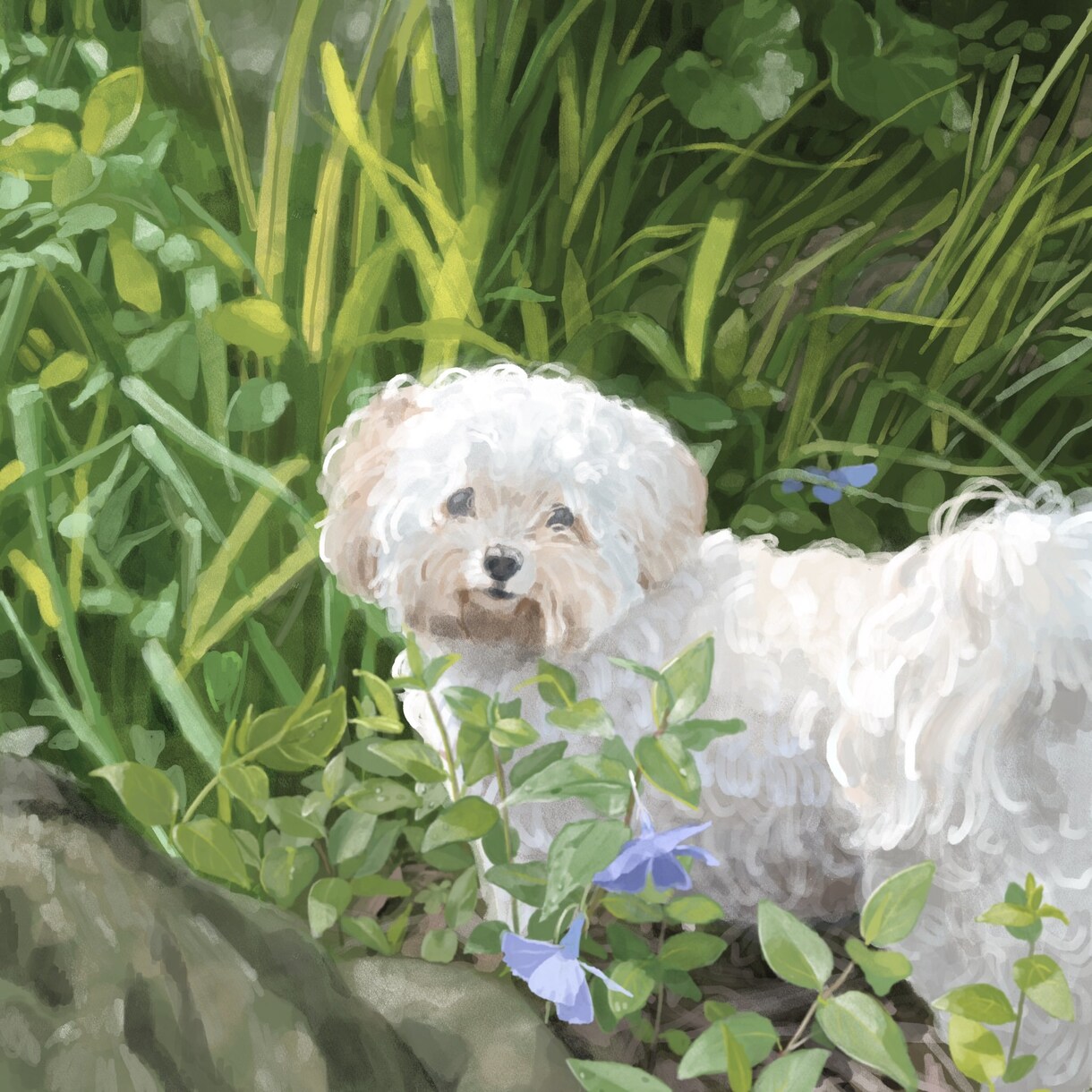 ペットや動物を絵本のようなイラストにします 犬、猫、鳥、花、昆虫、なんでも絵本の挿絵のようなイラストに！ イメージ2