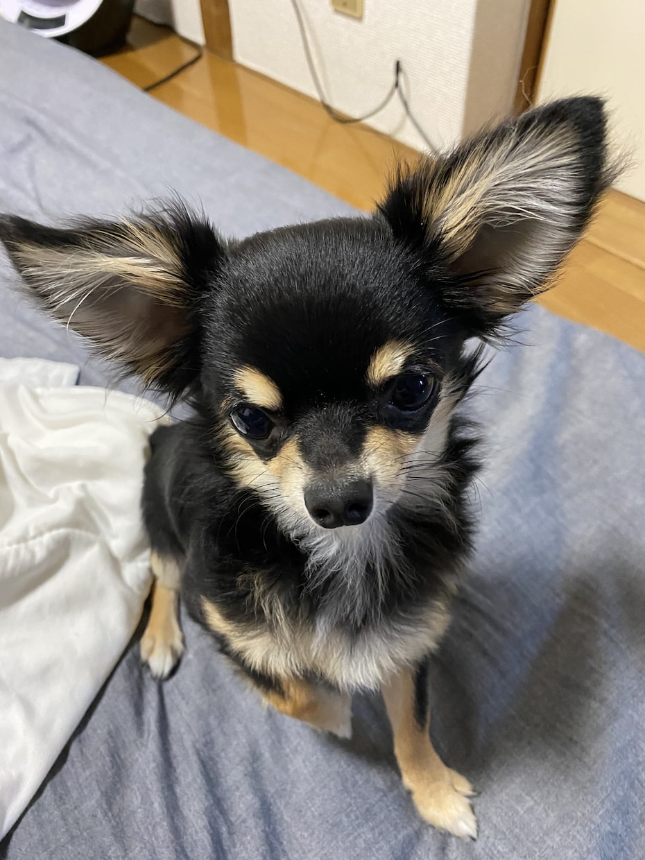 愚痴でも何でもお話しお聞きします 愚痴をお話ししてもらいストレス解消していただきたいです！ イメージ3
