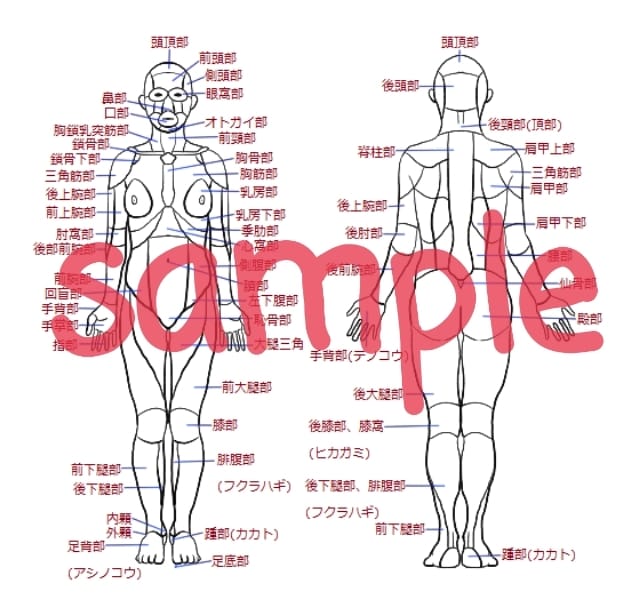 分かりやすい手書き医療系イラストを提供します 医療医学系の方向け！難しい医学をイラストで説明しませんか？ イメージ4