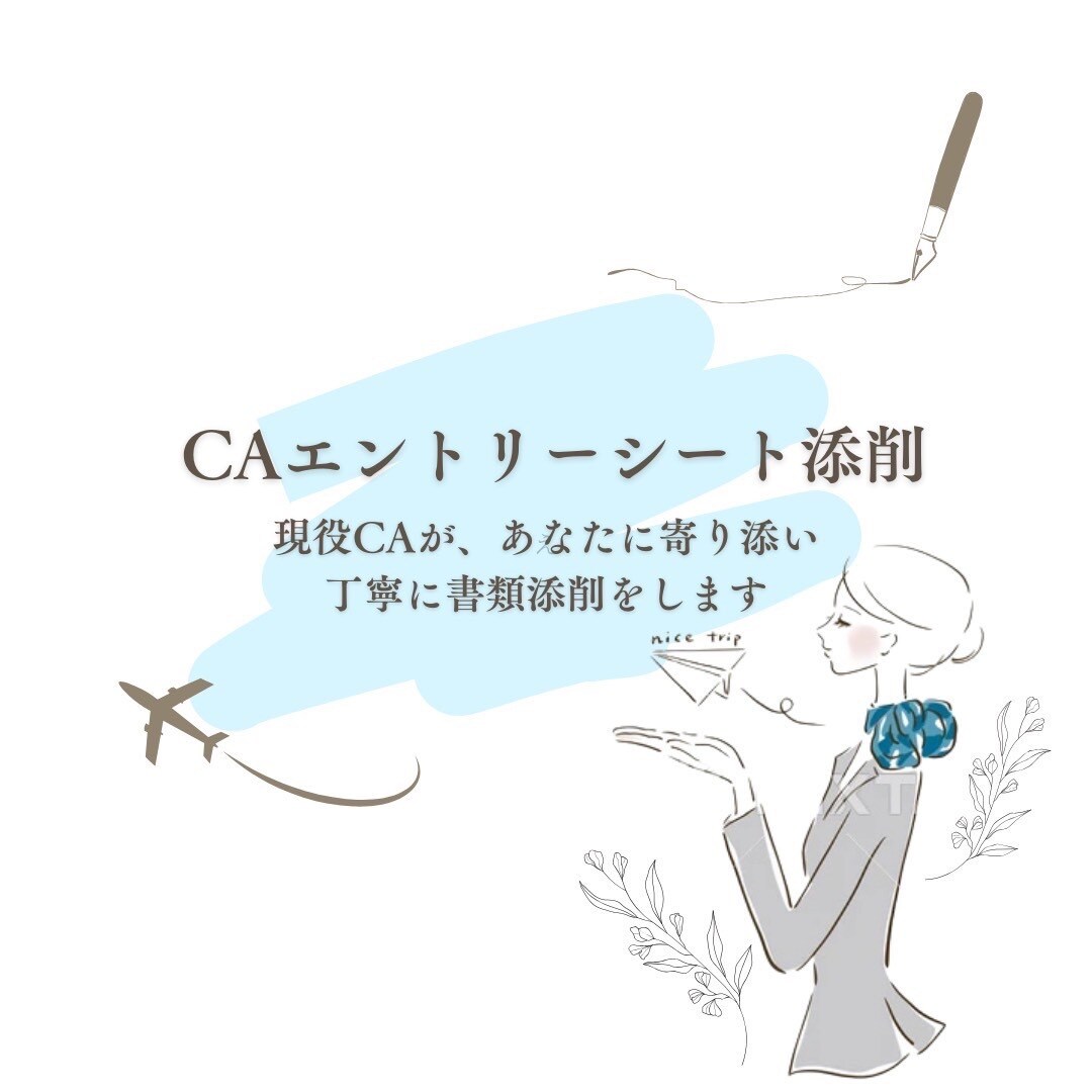 現役CAがあなたのエントリーシートを添削します エントリーシートをより内容の濃いものにしましょう！ イメージ1