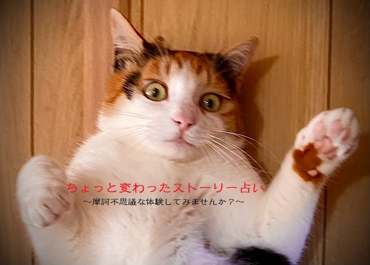 ちょっと変わったストーリー占いします ～摩訶不思議な体験してみませんか？～ イメージ1