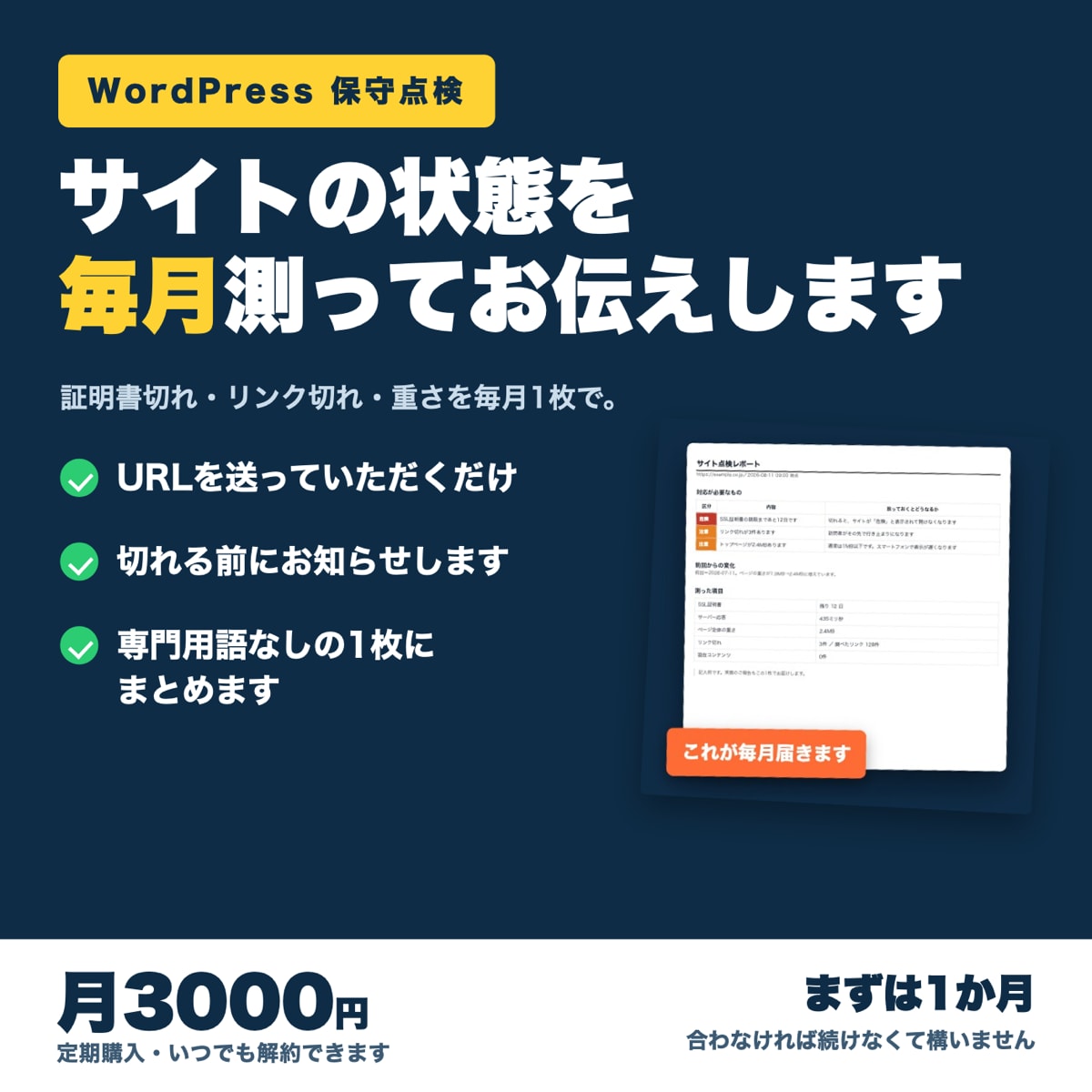 WordPressサイトの保守点検を毎月報告します 証明書切れ・リンク切れ・重さを毎月測って1枚で イメージ1