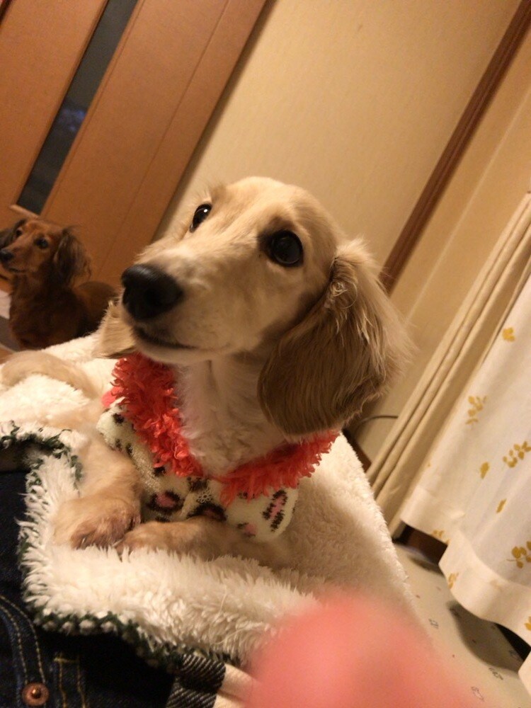 人生や職場などの悩みメンタル相談♡を中心に承ります 悩みを吐き出して一緒に晴れ晴れした気持ちになりましょう。 イメージ1