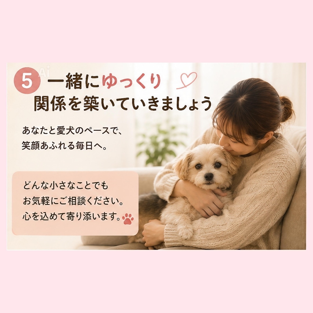 保護犬との暮らしを優しくサポートします 成犬からのお迎えも安心してご相談ください イメージ5