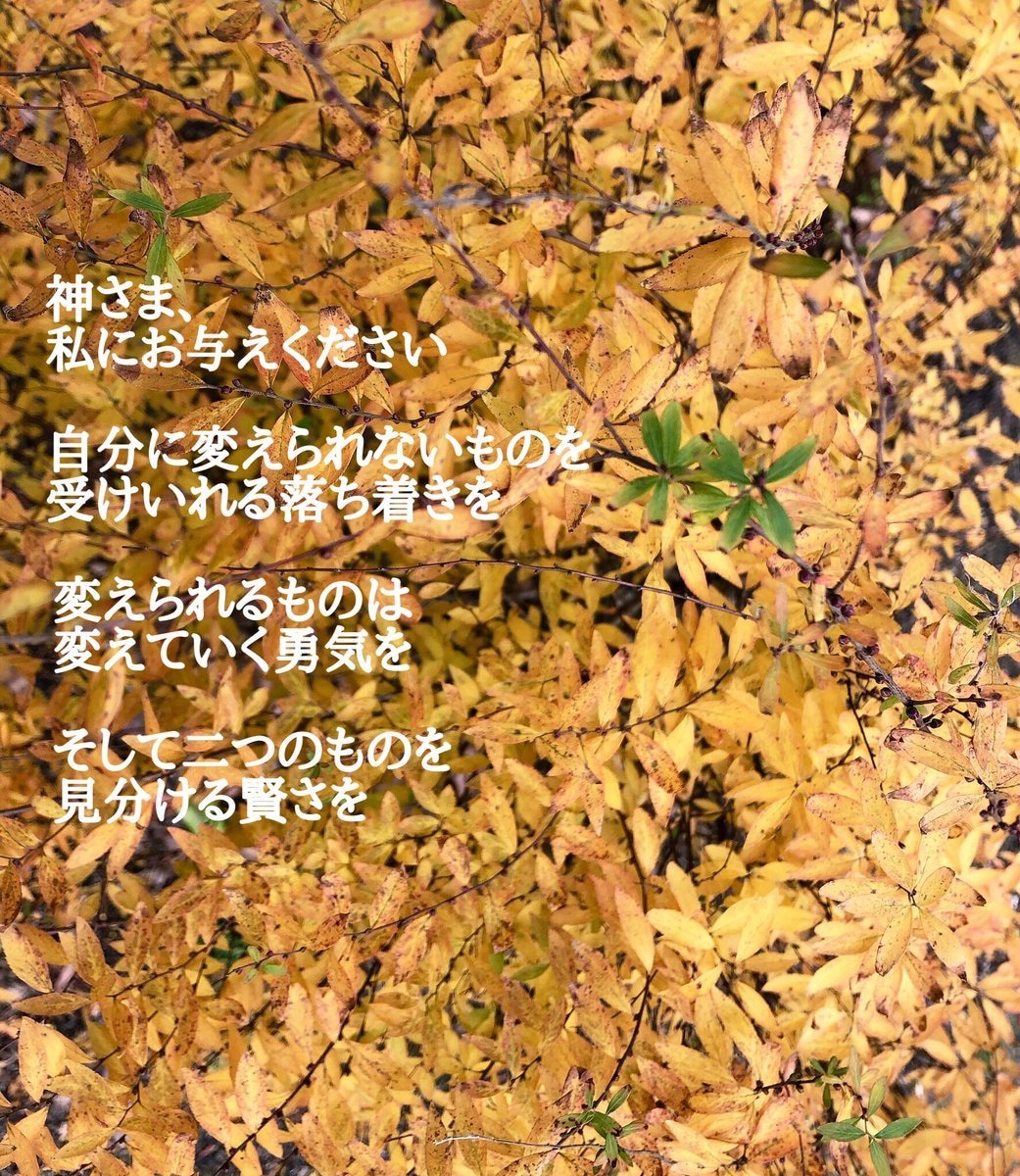 溜まっているキモチを吐きだすお手伝いをします みんな違って、みんないい (つ´ω`C) イメージ8