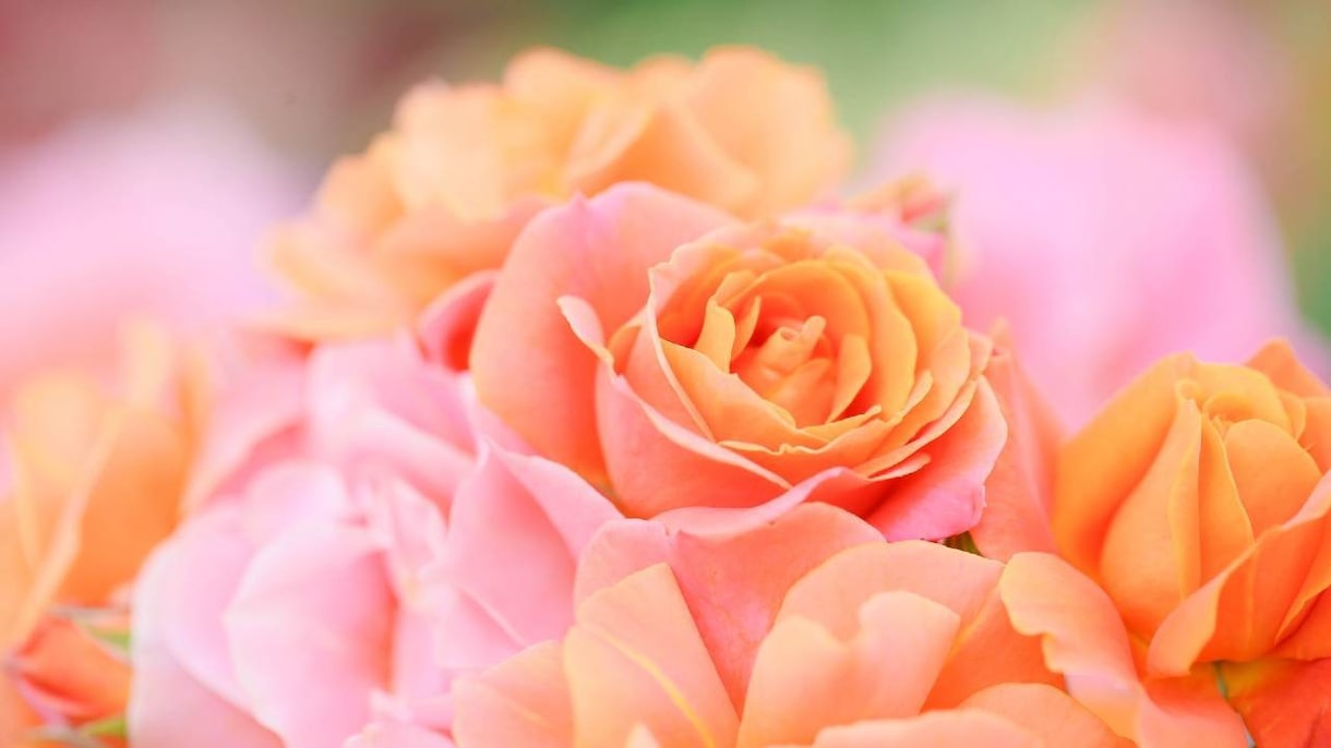 深層深くから状況を鑑定し、薔薇色パワーを送ります ‼️恋愛、複雑な恋愛、仕事、人間関係に！お困りの方必見‼️ イメージ10