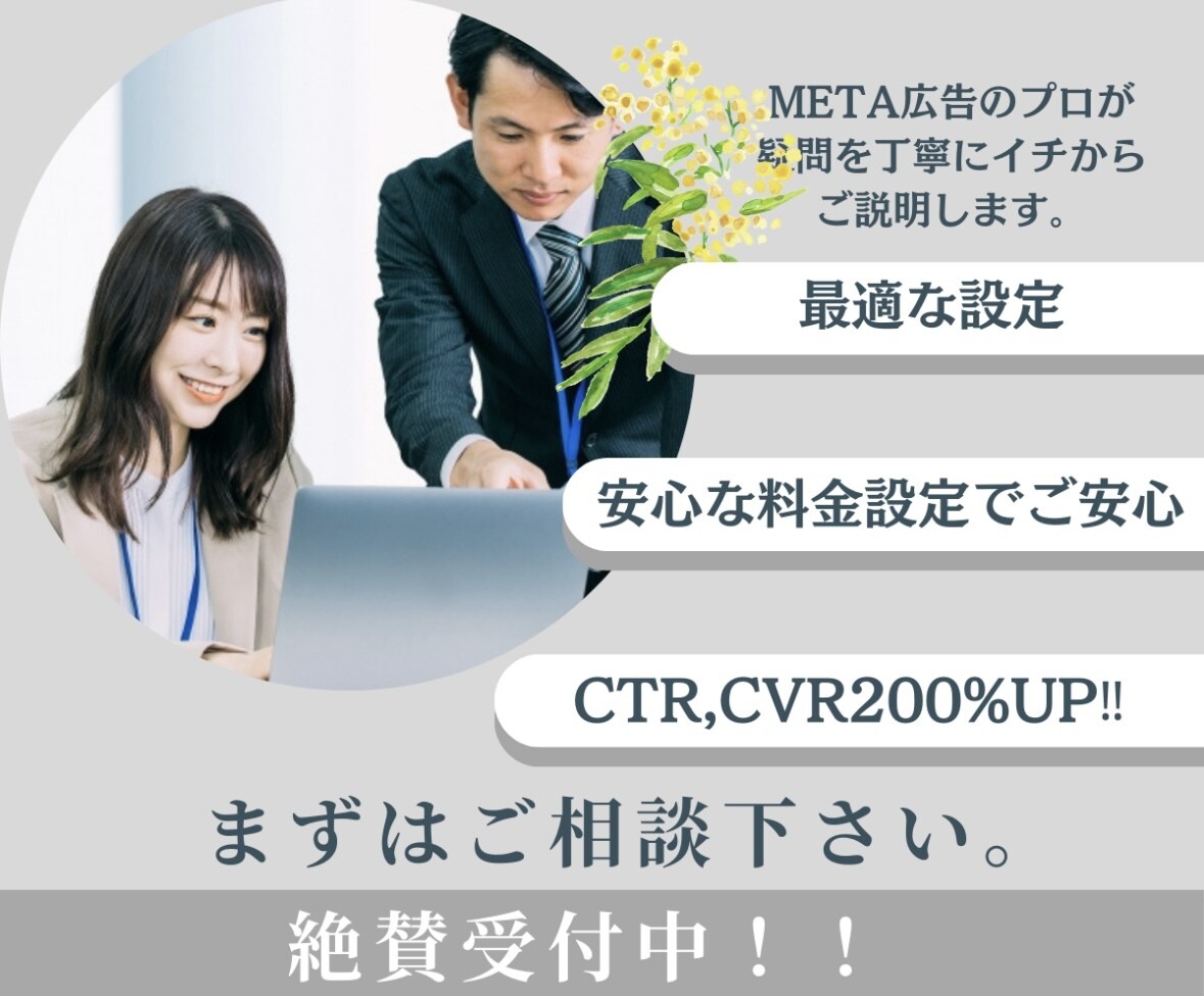 初心者向け】META広告の設定をチェック。ます 「META広告、設定はプロにお任せ！安心サポート実績多数」 イメージ2