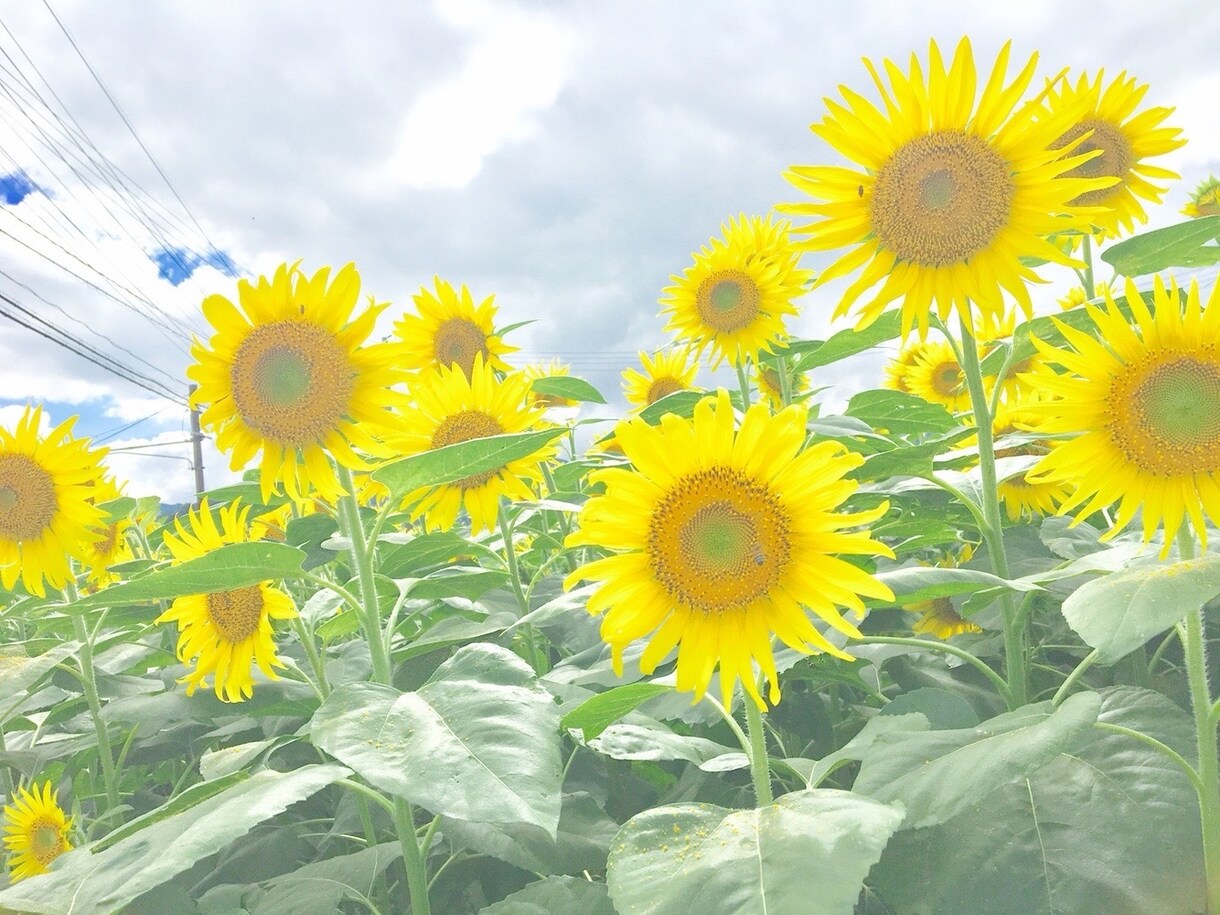 どんなことでも、小さなことでも相談のります いろんなご相談受け溜まってます！愚痴でも◎ イメージ1