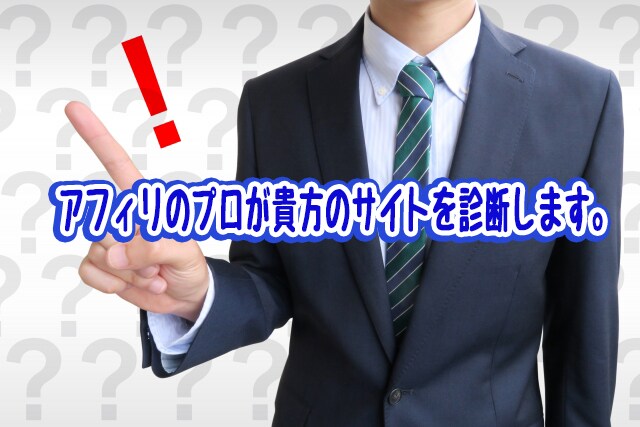 ワンコイン診断！アフィリのプロがサイト診断します サイトを作成したのに、アクセスが上がらなくて悩んでいる方。 イメージ1