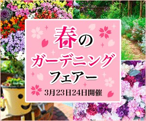 高品質なバナー制作します ママデザイナーが特別なデザインを提供します♪ イメージ4