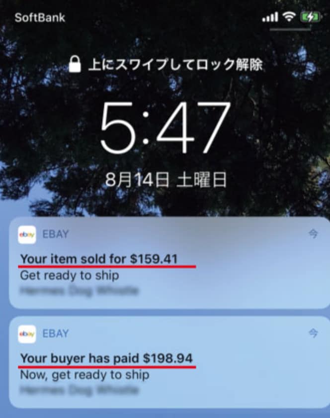 本質的ebayの売買手法を伝授します 海外無在庫せどりeBayマスターズ イメージ5