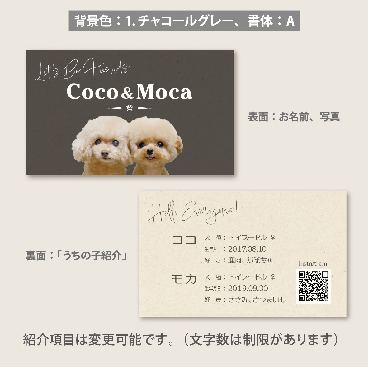 写真入り多頭ペット名刺をシンプルデザインで作ります グラフィックデザイナーにセミオーダー！両面印刷100枚送料込 イメージ6