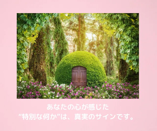婚外恋愛鑑定♥相手の本心♥将来♥恋の行方を視ます ♥魂が惹かれ合う本気の恋♥相手の言動の意味・他に相手がいる？ イメージ5