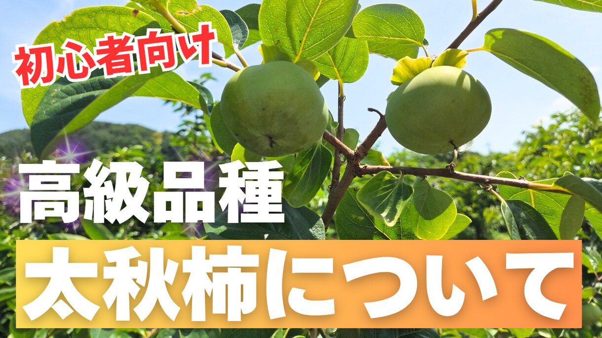 YouTubeのサムネ制作します 【実績あり】初心者向けYouTubeサムネをCanvaで制作 イメージ3